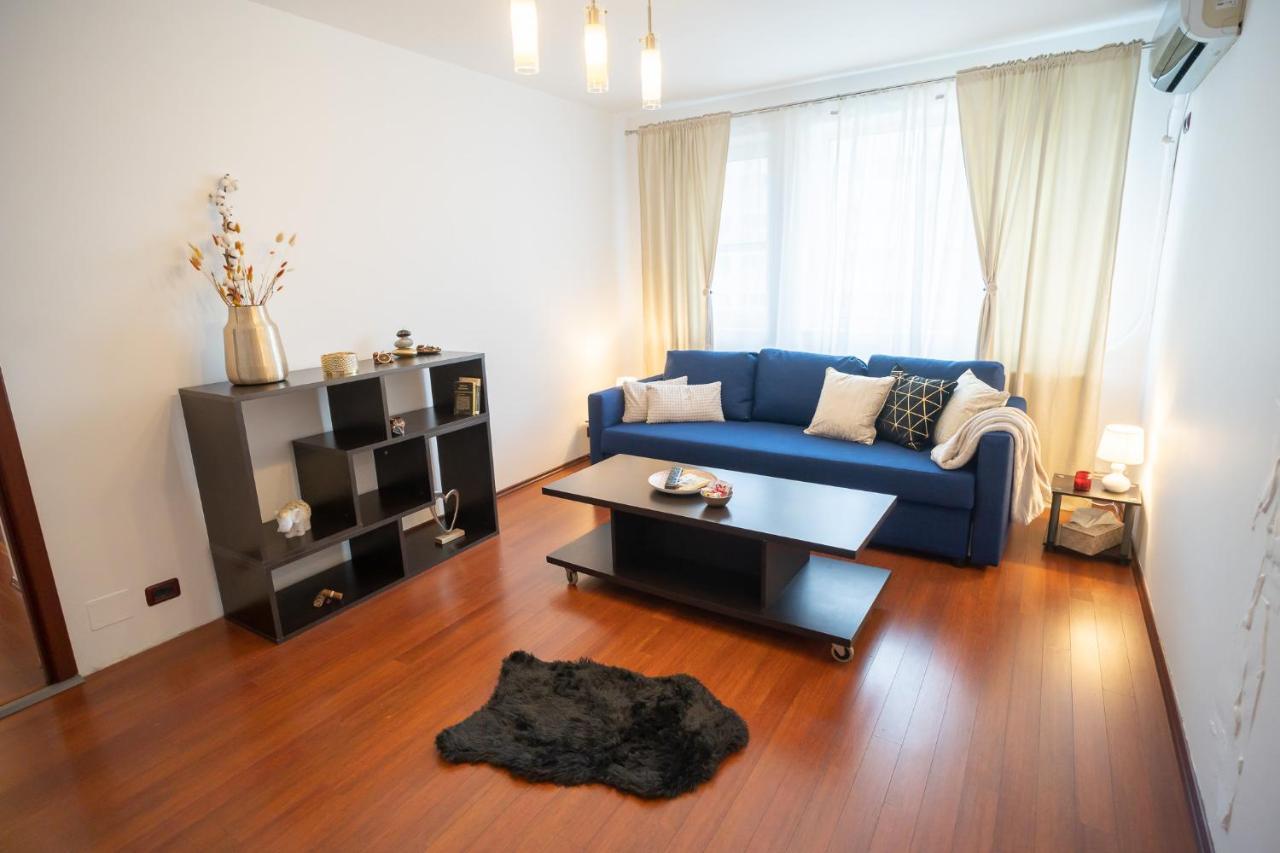 Spacious 2Br Dristor Apartment Бухарест Екстер'єр фото